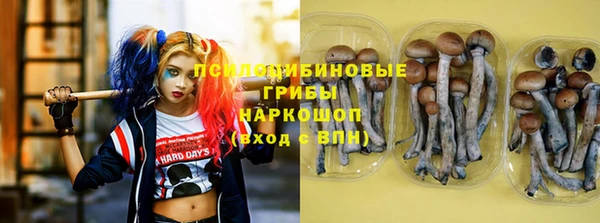 соль курить ск Россошь