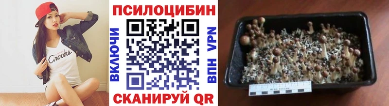 Купить закладки  Задонск  Галлюциногенные грибы Magic Shrooms 