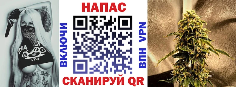Канабис ГИДРОПОН  Купить где  Задонск 